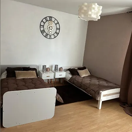 Ferienwohnung Superbe 4 Pieces Colmar Exterior foto